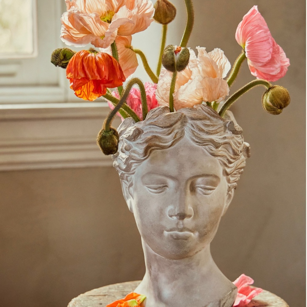 Meet your Posher, Anita